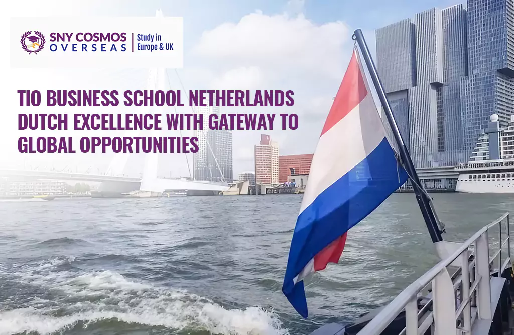 Tio Business School Netherlands: Dutch Excellence with Gateway to Global Opportunities