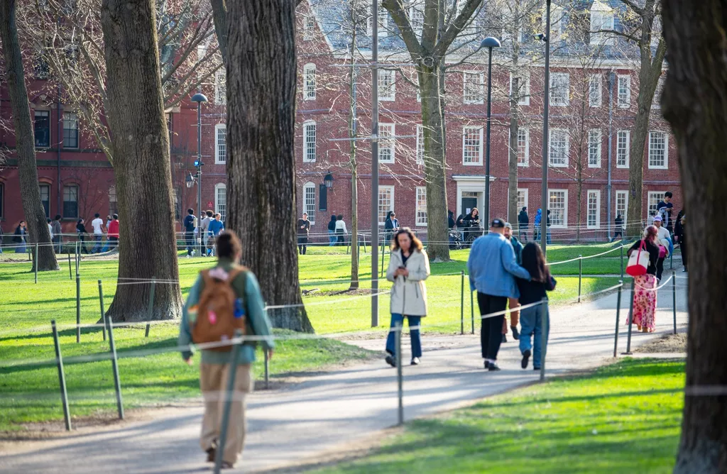 Students Walking Through a Green University Campus