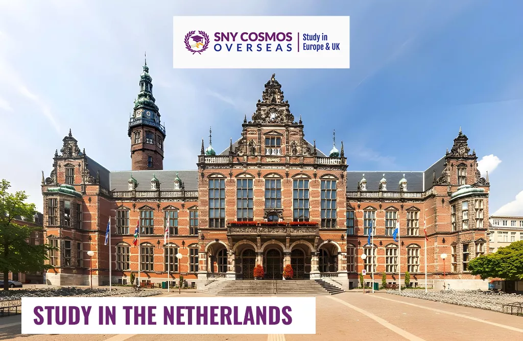 Best Courses to Study in the Netherlands for International Students