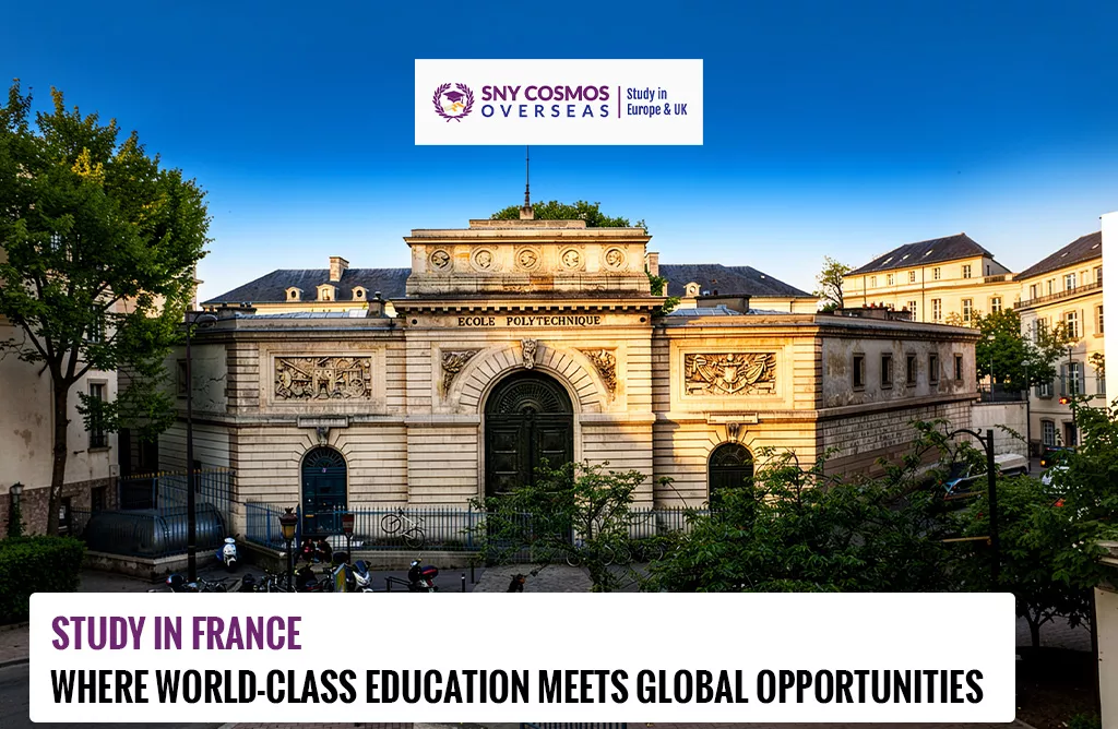 Study in France: Where World-Class Education Meets Global Opportunities