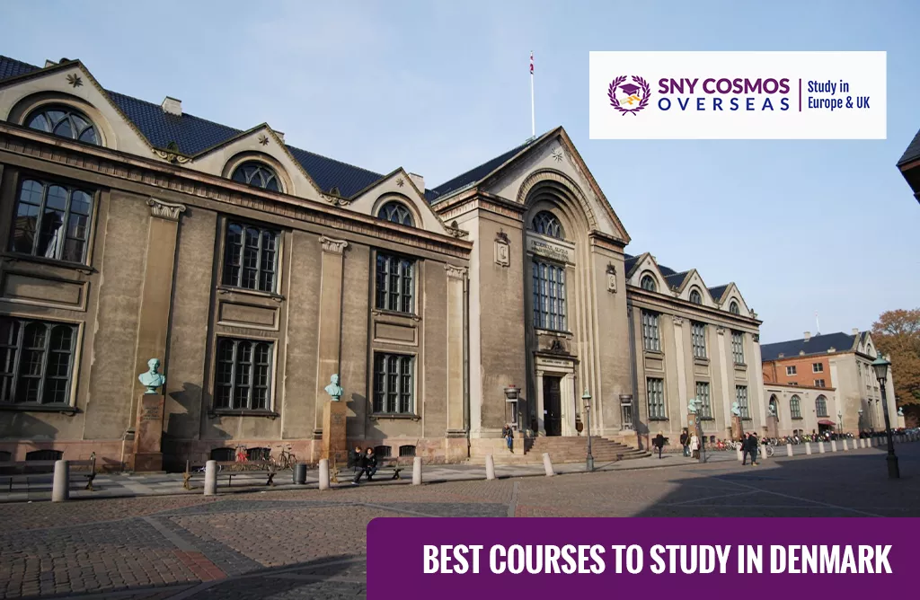 Best Courses to Study in Denmark