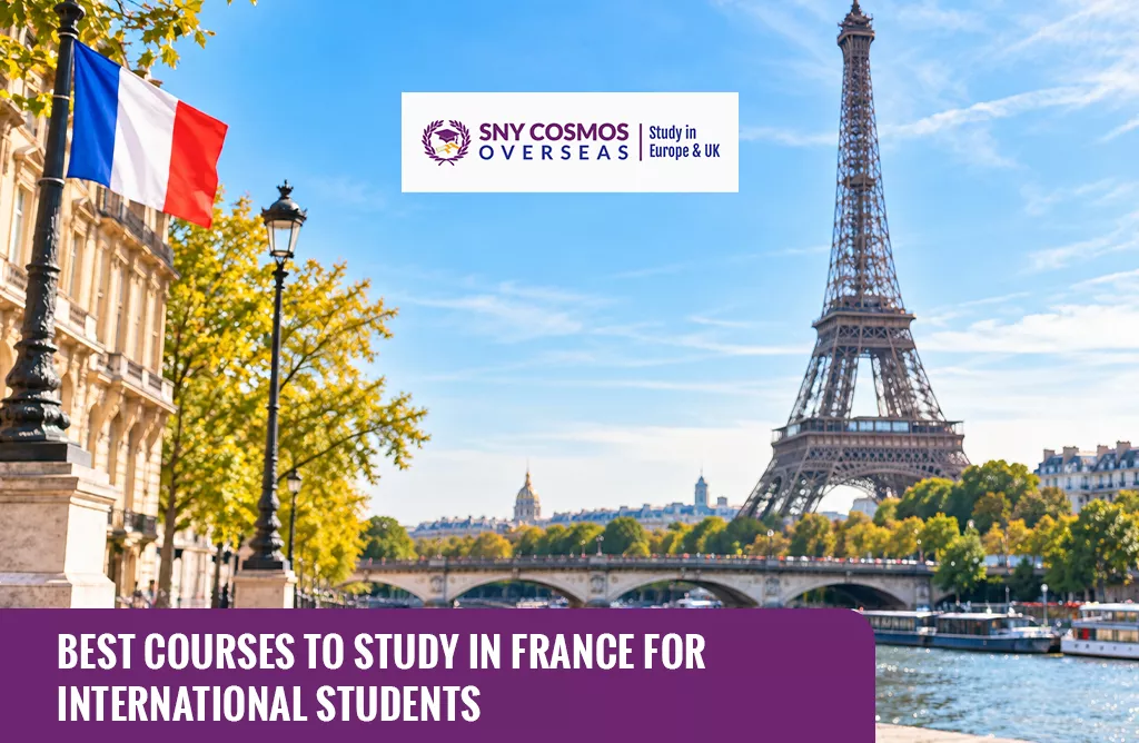 Best Courses to Study in France for International Students