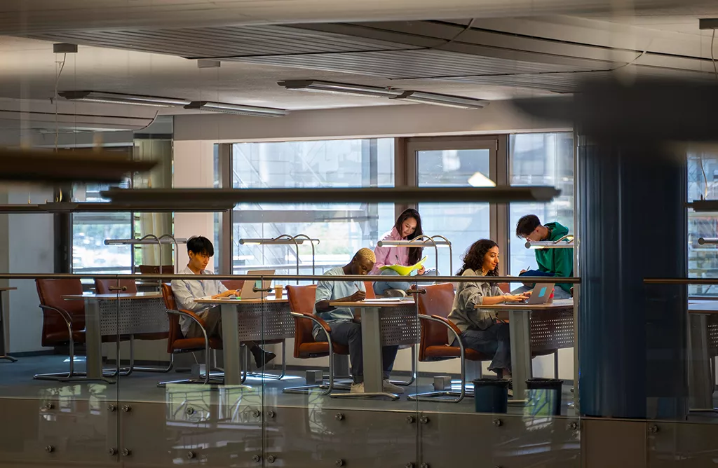 International Students Studying Together in a European Learning Space