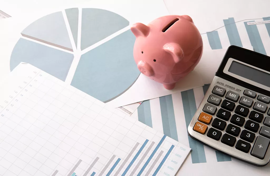 Study Abroad Cost Planning With Savings Charts and Financial Calculations