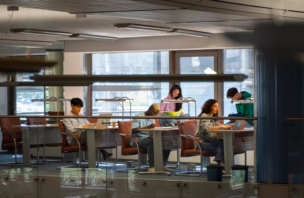 International Students Studying Together in a Swedish University Library